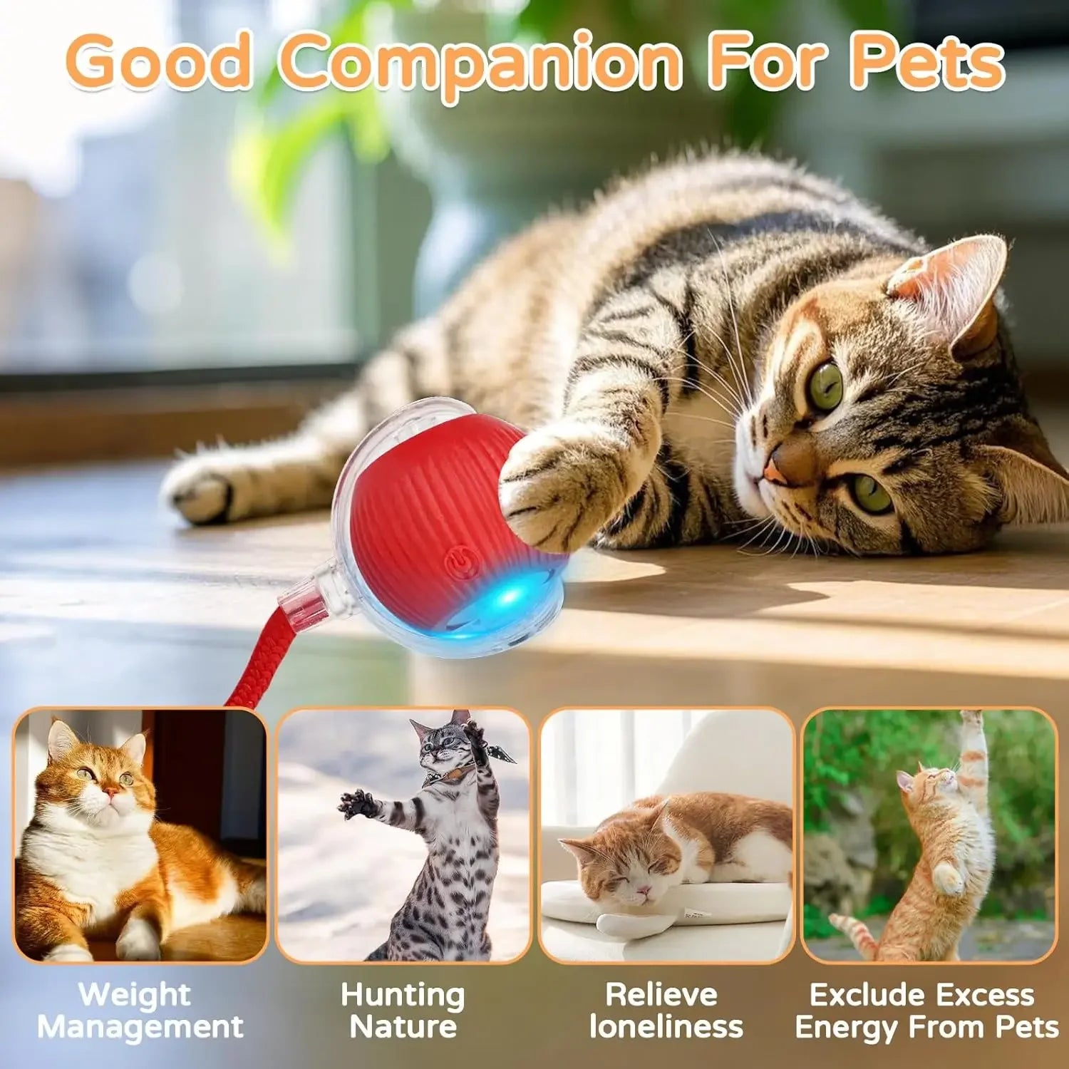 Pounce™ Auto-Rolling Cat Toy