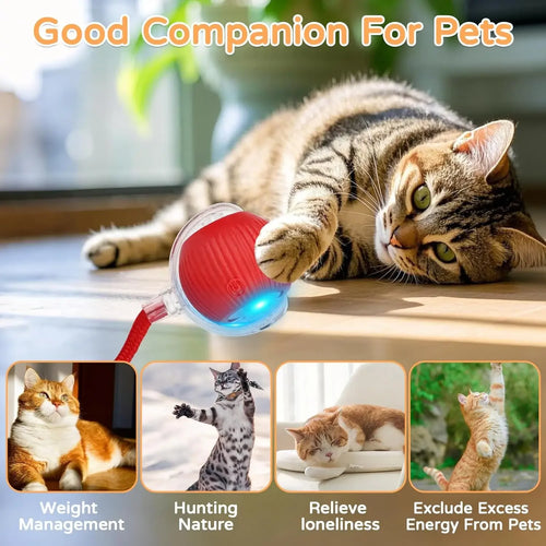 Pounce™ Auto-Rolling Cat Toy